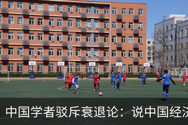 中国学者驳斥"衰退论"：说中国经济不行的都错了