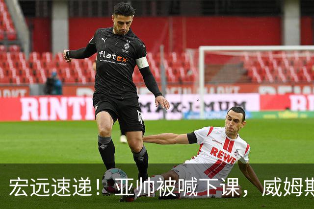 宏远速递！亚帅被喊下课，威姆斯在线投简历，杜锋真被冤枉了