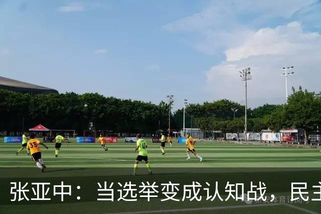 张亚中：当选举变成认知战，民主还有意义吗