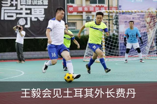 王毅会见土耳其外长费丹