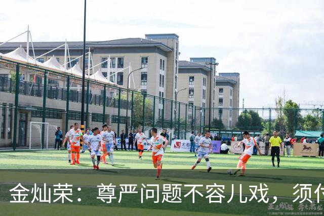 金灿荣：尊严问题不容儿戏，须付出应有的代价